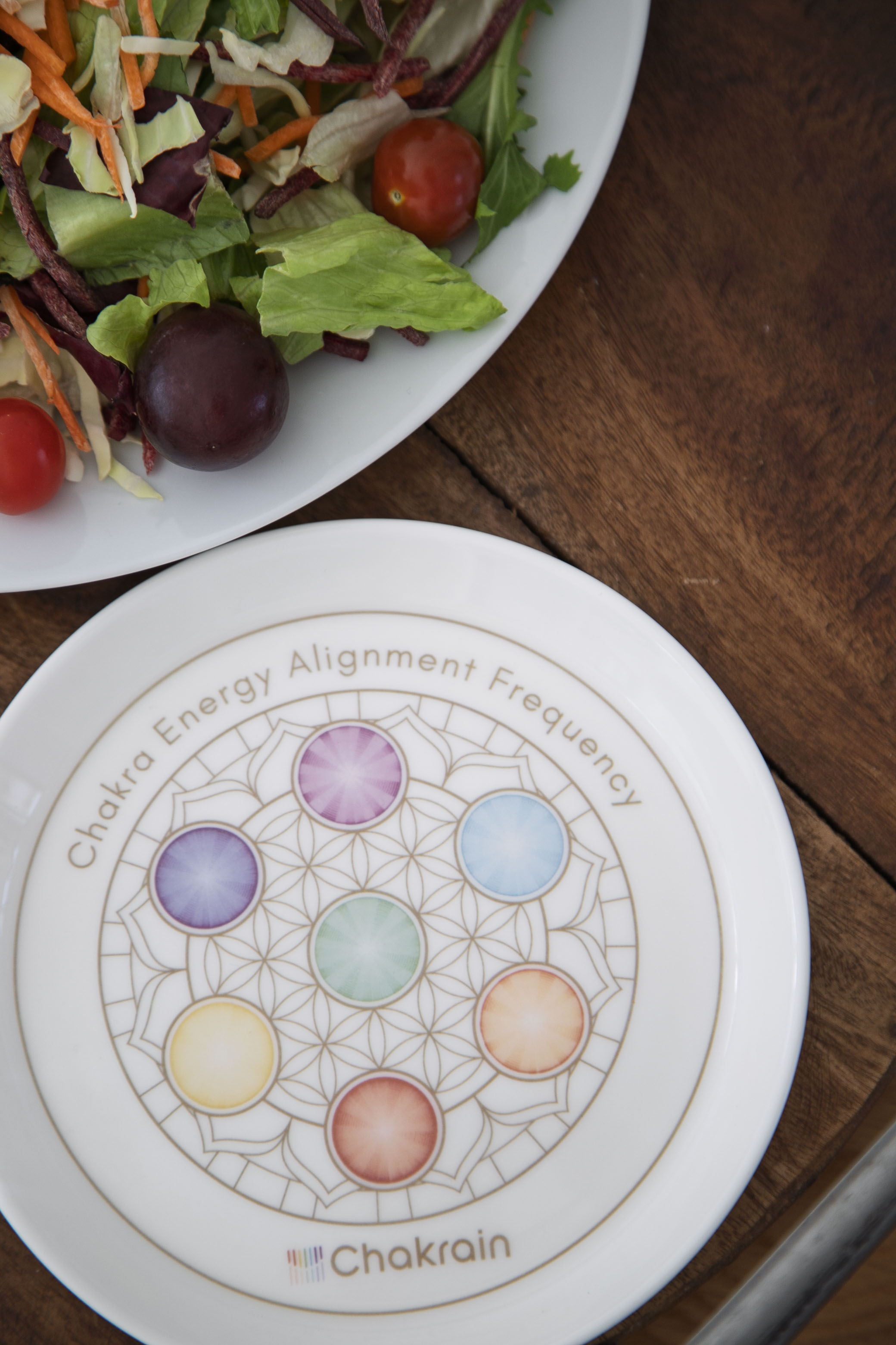 Chakrain Plate Detail